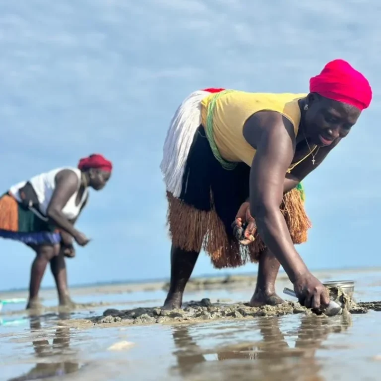 Guinea-Bissau – Islas Bijagós Dos personas agachadas en una zona de agua poco profunda recogiendo marisco del fondo con pequeños recipientes.