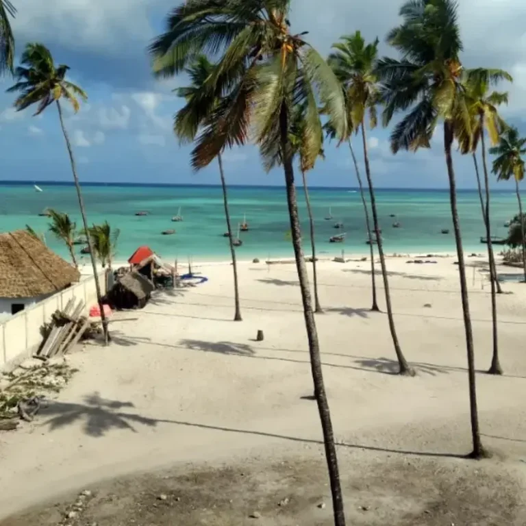 Tanzania y Zanzíbar Playa de arena blanca con palmeras, mar turquesa y pequeñas embarcaciones al fondo.
