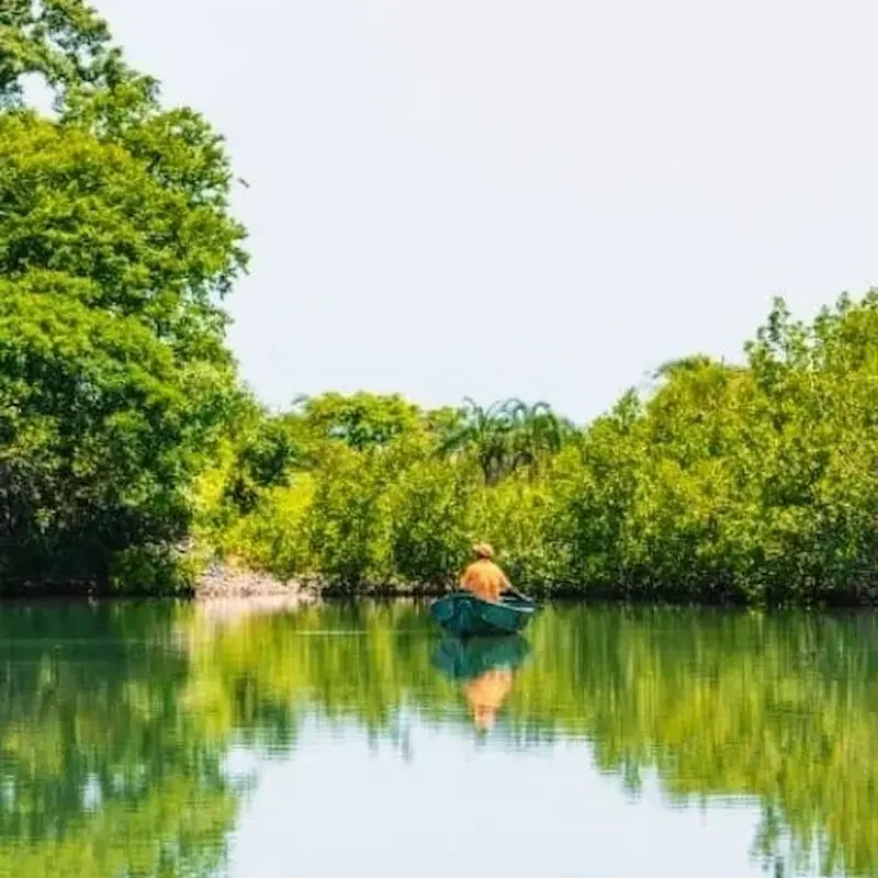Manglares de Casamance Persona en una pequeña embarcación navegando por un canal rodeado de vegetación y manglares.