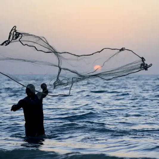 Pesca artesanal en Bijagós Pescador de pie en el agua lanzando una red al mar al atardecer.