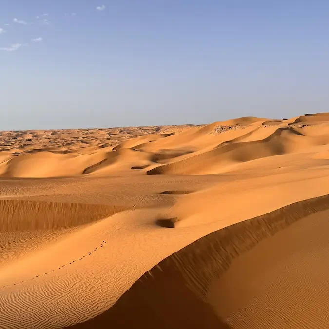 Dunas del Sáhara Occidental | Setdemón Paisaje de dunas en el Sáhara Occidental durante un viaje en grupo reducido