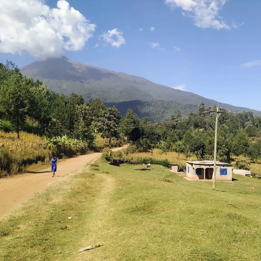 Arusha y Monte Meru Persona caminando por un camino de tierra entre campos y árboles, con una gran montaña al fondo.